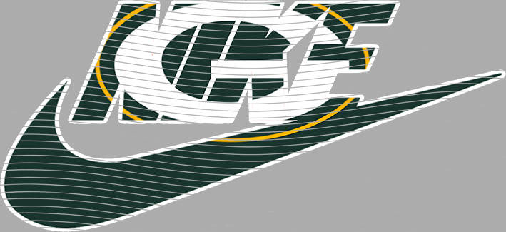 16oz team-NFL 3365